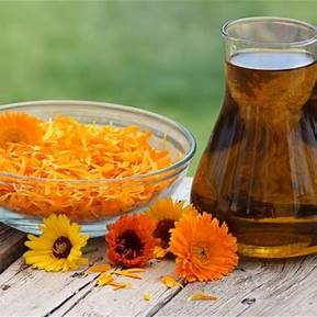 Calendula oil in my Salves and Lotions, it's benefits for You.